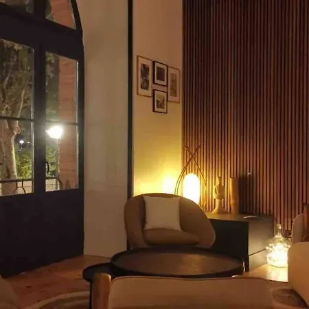 Le Lombard : Panorama Sur La Garonne * טולוז