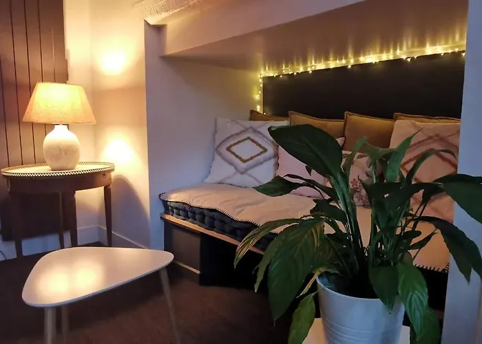 Le Lombard : Panorama Sur La Garonne Toulouse