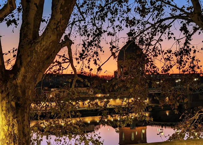 Le Lombard : Panorama Sur La Garonne דירה טולוז